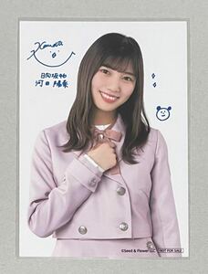 Art hand Auction 히나타자카46 카와타 히나 로손 LAWSON 콜라보레이션 스마트폰 복권 오리지널 브로마이드 사진 한정 100장 당신만이 당첨될 수 있습니다, 연예인용품, 사진