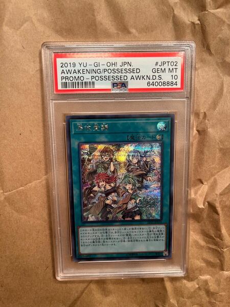 遊戯王 憑依覚醒 シークレット PSA10 