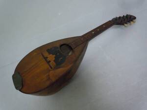 [SYOTARO TSUNODA] new color che type mandolin?