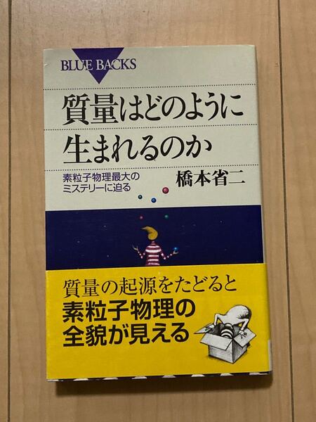 質量はどのように生まれるのか 素粒子物理最大のミステリーに迫る ブルーバックス 橋本省二/著