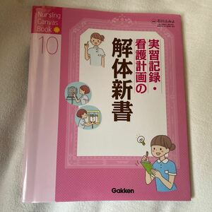 実習記録・看護計画の解体新書 （Ｎｕｒｓｉｎｇ　Ｃａｎｖａｓ　Ｂｏｏｋ　１０） 石川ふみよ／編著