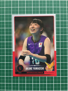 ★火の鳥 NIPPON 2019 全日本女子バレーボールカード #69 山岸あかね［埼玉上尾メディックス］レギュラーカード 19★