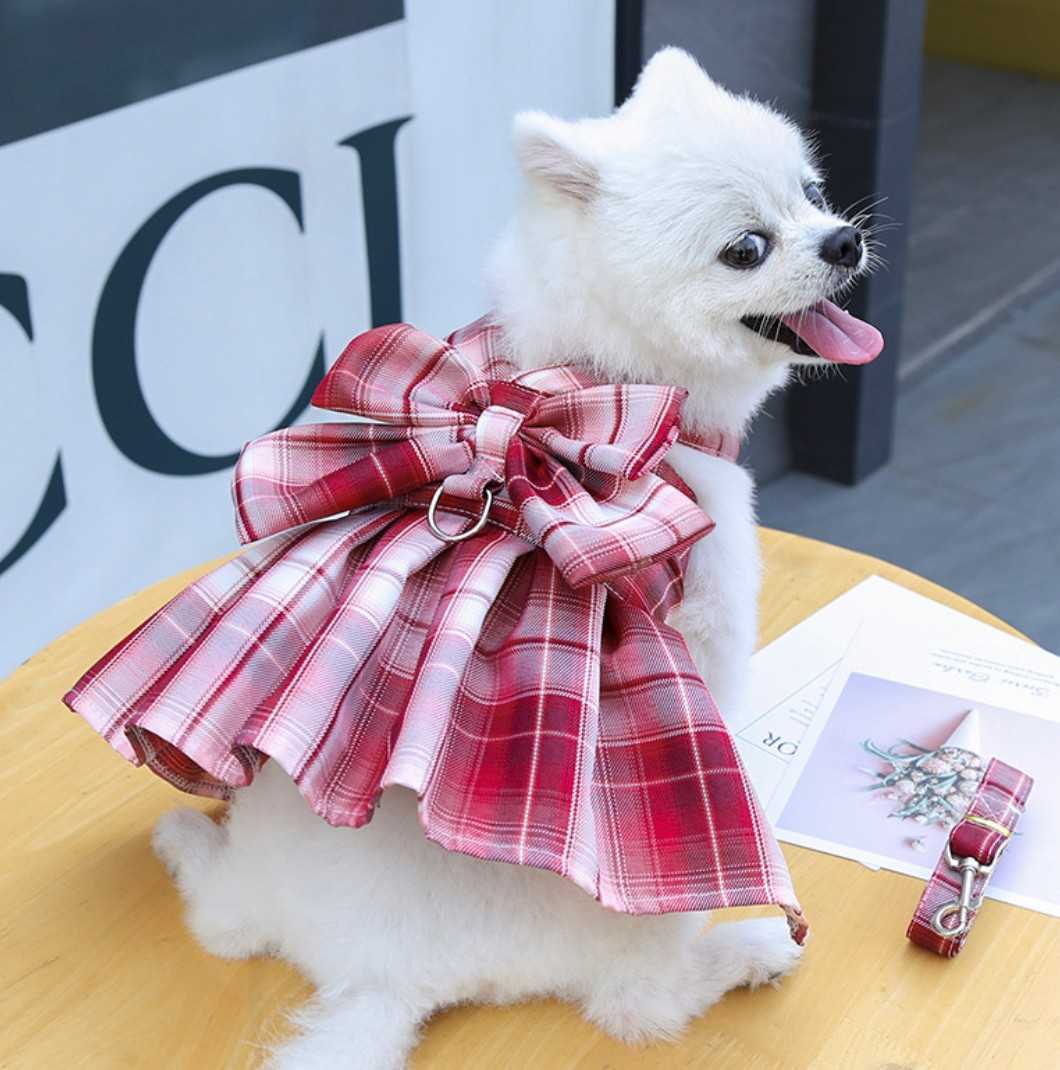 ペットカインド TD レッドミート 11.34kg 犬用品 ドッグフード www