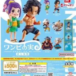 ワンピの実 第七海戦 フルコンプ