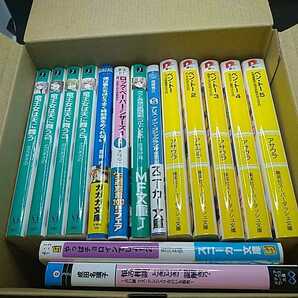 【お買い得！】ライトノベルまとめセット 15冊 ラノベ ラブと貪食の黒戮呪剣 竜王女は天に舞う ベン・トー他【60サイズ箱】