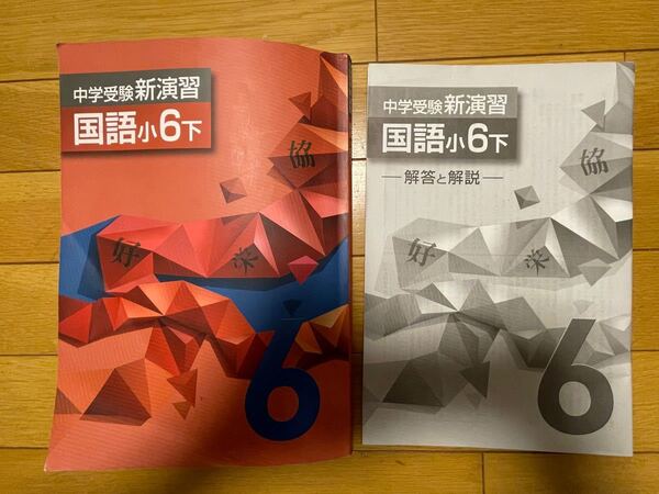 【2022年度】　中学受験 新演習 国語　小６ 下