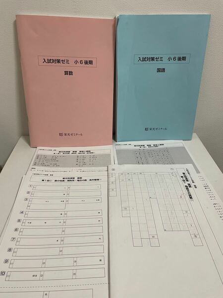 2022年度【1回のみ受講】栄光ゼミナール　入試対策ゼミ　小6　後期　算数 国語　セット