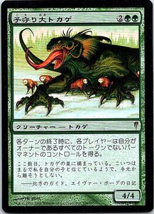 FOIL/子守り大トカゲ/Brooding Saurian/コールドスナップ/日本語版/MTG１枚 [FC]