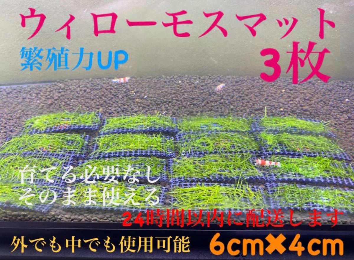憧れの 高品質納豆菌入り角棒ろ材300+30無料配送 魚用品/水草 - abacus