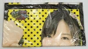 Erina Mano 真野恵里菜 Microfiber Towel