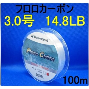 フロロカーボン　3.0号　(14.8LB) 100m 釣り糸　ライン リーダー