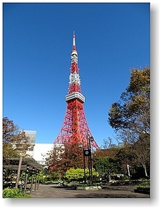 オリジナル フォト ポストカード 2021年11月12日 青空の東京タワー 風景写真 Vol.8