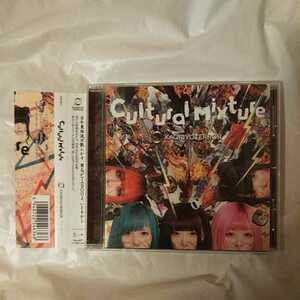 KAQRIYOTERROR /Cultural Mixture アルバム 15曲収録