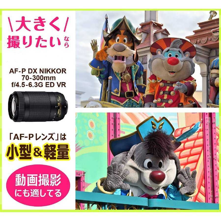 ニコンNikon AF-P DX NIKKOR 70-300mm f4.5-6.3G ED VR 望遠レンズ一眼