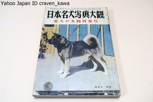  Япония название собака фотография большой .* love собака. . экстренный больше ./ Showa 29 год / японский собака .. хвастаться все собака вид название собака группа * Япония что касается собака. история . эта развитие * Япония что касается собака. на данный момент .