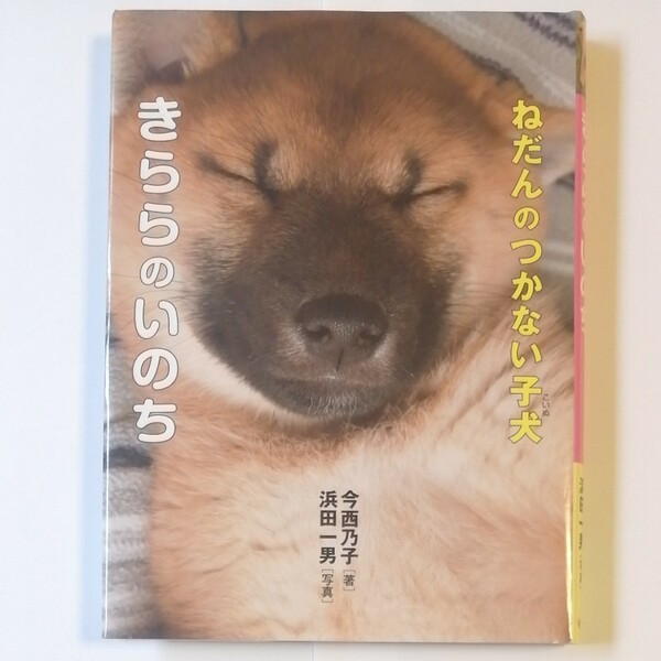 ★ ねだんのつかない子犬きららのいのち 今西乃子／著　浜田一男／写真