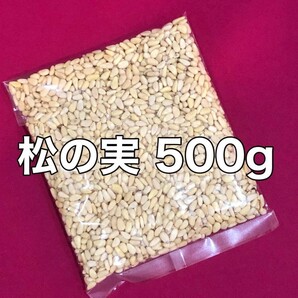 お値下げ不可　松の実　500g ナッツ　送料無料　おやつ　バー　間食