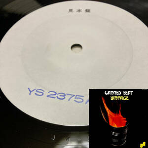 TEST PRESS YS-2375-JN！美盤LP！キャンド ヒート Canned Heat / Vintage ヴィンテージ Columbia 見本盤 テスト プレス SAMPLE PROMO JAPAN