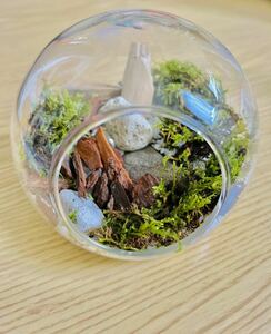 Art hand Auction Cochelium handmade kit moss, flower, gardening, bonsai, others