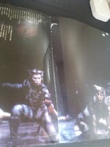 Ba5 02723 劇団四季 パンフレット 2冊セット CATS キャッツ/1991年5月21日発行 ライオンキング/2011年3月27日発行 北海道公演_画像4