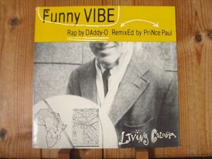 レア!! Living Colour / リヴィングカラー / Funny Vibe / Epic / 49 73107 / US盤