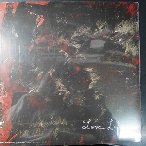 アナログ ●輸入盤 ～Love Life Here Is Night Brothers Here The Birds Burn レーベル:Jagjaguwar JAG 47