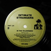 アナログ ● 輸入盤～ Intimate Strangers The Blue Hour レーベル:I.R.S. Records IRMT 124_画像4