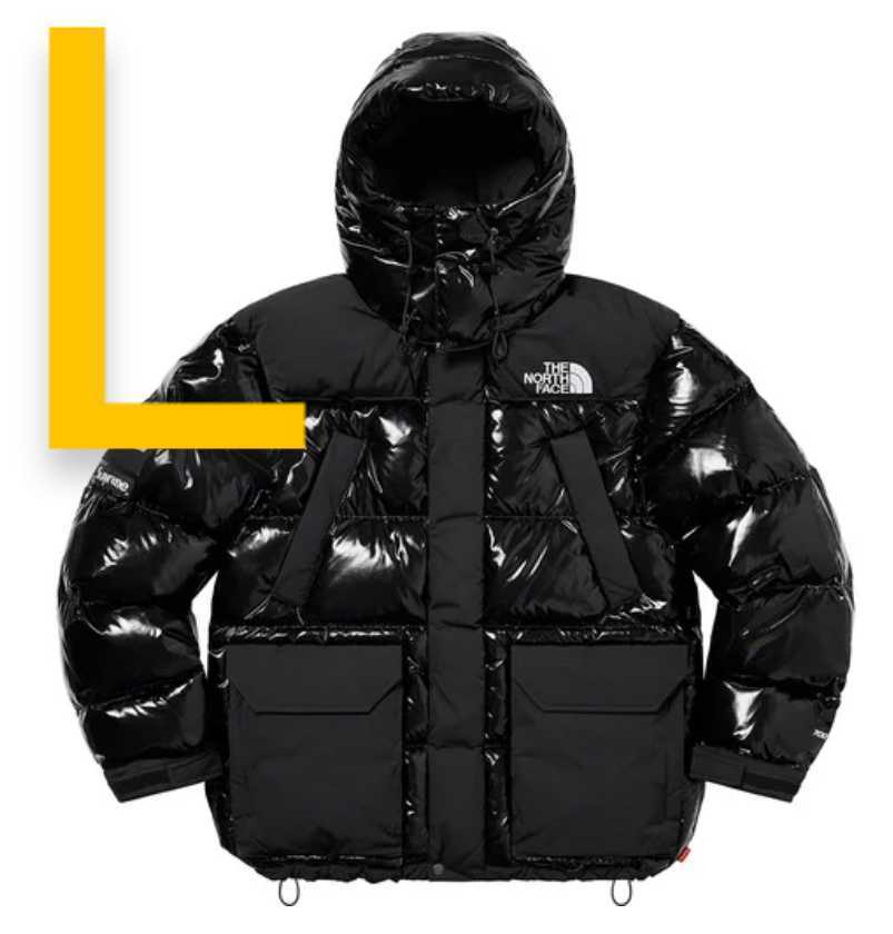 north face ダウン 700の値段と価格推移は?|354件の売買情報を集計