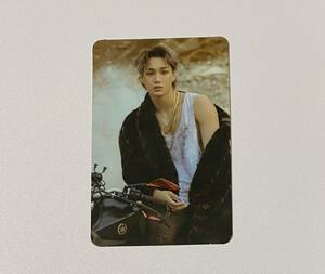 EXO カイ キャラクターポーチ CHARACTER POUCH 特典 トレカ KAI Photocard