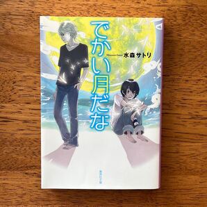 でかい月だな 集英社文庫 水森サトリ/著