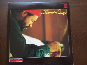 MARVIN GAYE / GREATEST HIT'S 24 新編マービン・ゲイ・グレイテスト・ヒッツ24　2LP VIP-9011-12