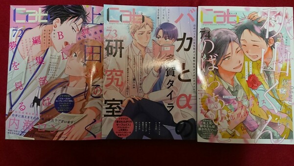 cab キャブ 72,73,74 BL雑誌「のばらあいこ、上田にく、市川けい、くらさわ、井ノ宮みや」 他