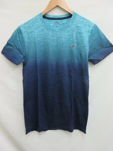 ホリスター HOLLISTER Tシャツ　サイズXS