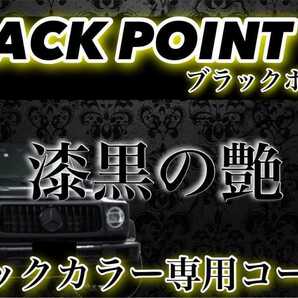 BLACKPOINT スーパーガラスコーティング剤 500ml(二号店限定！超艶！超持続！超防汚！！施工簡単！)