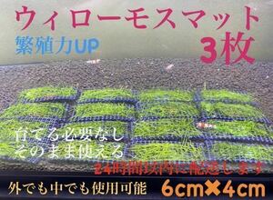 ウィローモスマット　3枚セット　業者様もご愛用　すぐ使えます。　24時間以内に配送