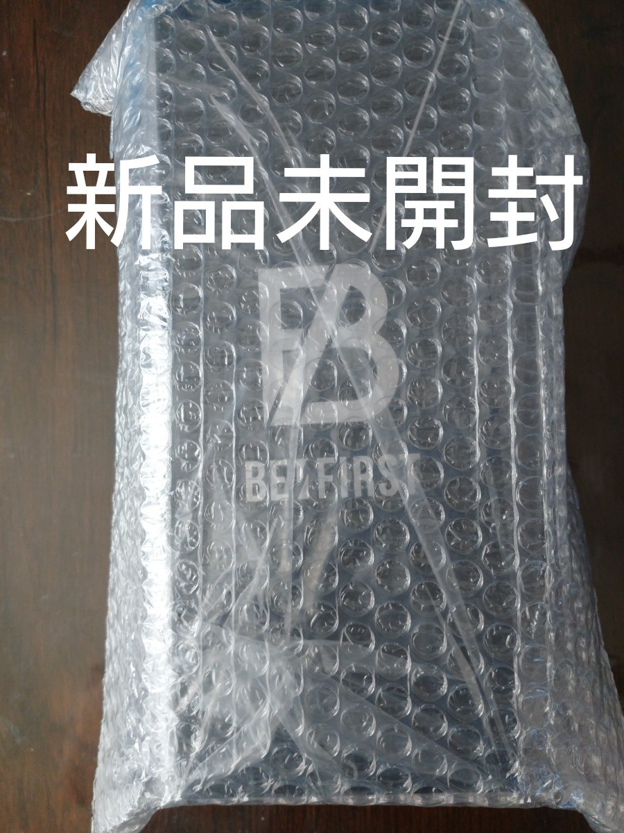 DWE メインプログラム ブック、宝箱、ライトライトペン 未使用多数