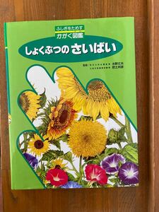 しょくぶつのさいばい （ふしぎをためすかがく図鑑） 水野　丈夫　他監