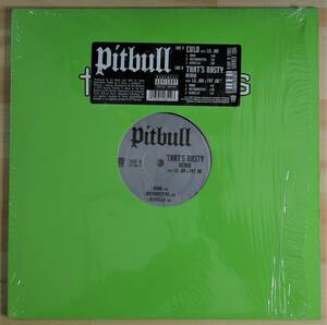 1128）Ｐｉｔｂｕｌｌ　⑤　１２インチ　ＣＵＬＯ／ＴＨＡＴ’Ｓ　ＮＡＳＴＹ　ＲＥＭＩＸ