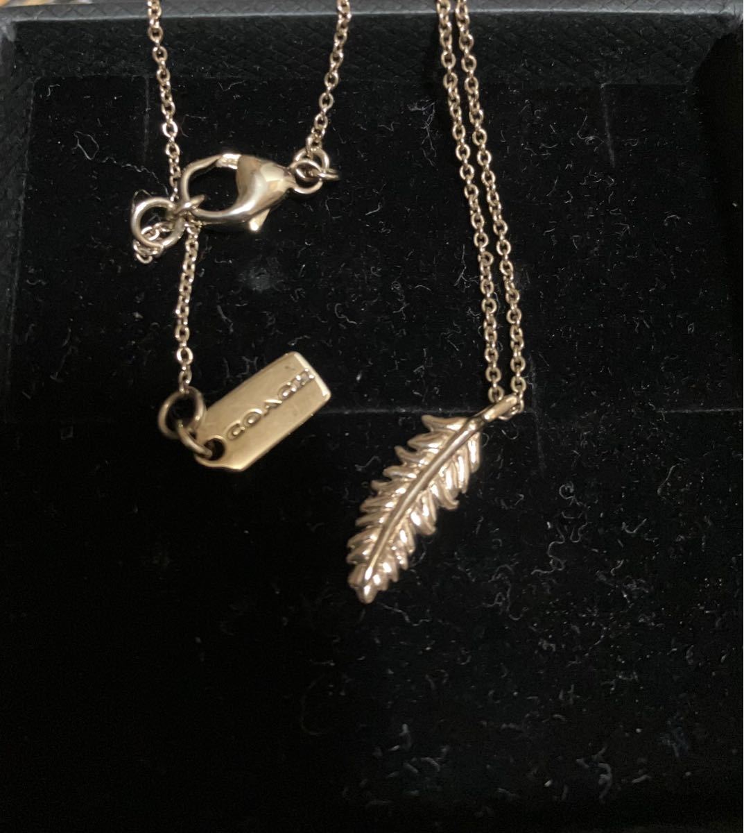 大量入荷 ネックレス アップル ポイズン COACH 【新品】 ネックレス