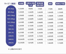 O909.7 寿壺 清酒 特急 1.8リットル 空壺 梅柄 昭和54年 幸泉作 富吉 特選 陶器 インテリア_画像10