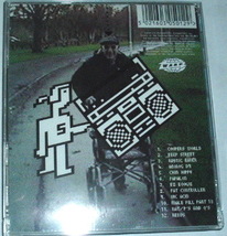 SQUAREPUSHER /hard normal daddy~スクエアプッシャー_画像2