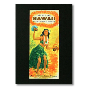  Hawaiian постер fla девушка серии F-35
