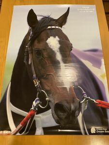 [000] horse racing poster A1 name horse. . image special we k heaven from Mai .... super . Dream sauce wistaria hill .. approximately 594×841mm