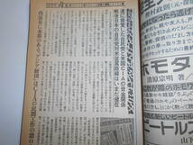 噂の真相 噂の眞相 雑誌 1994年12月 荒木経惟 大江健三郎戦後民主主義の擬制 テリー伊藤の嘘と演出の虚飾人生 ビートたけし愛人細川ふみえ_画像7