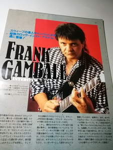 ヤングギター☆記事☆切り抜き☆Frank Gambale☆インタビュー＆ギター紹介＆奏法分析・解説☆Guitar Thunder World▽4Ca：ccc6