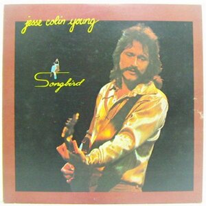 LP,ジェシコリンヤング　JESSE COLIN YOUNG ソングバード