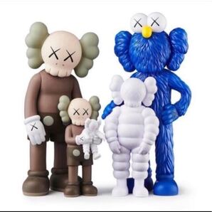 KAWS FAMILY BROWN/BLUEKAWS
