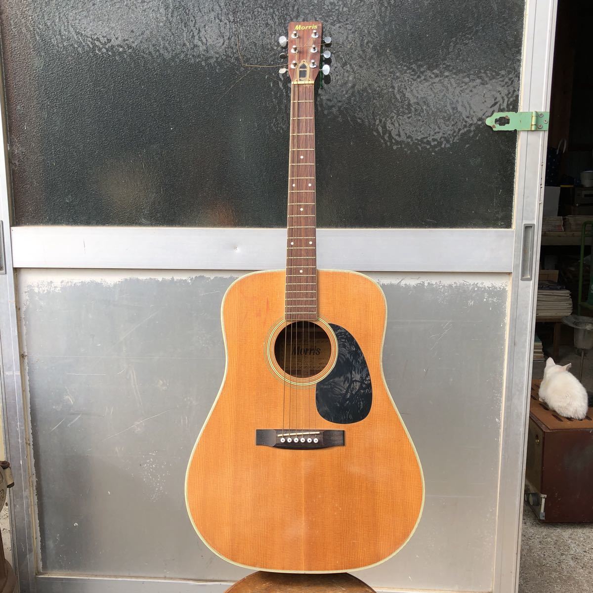 くすみ水色 【希少・美品】Morris M601 ハカランダモデル 国産モーリス