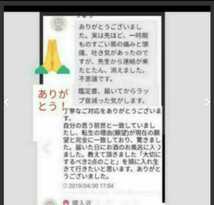 少し怖い占い大社願い叶う祈祷金運底上げミサンガつき仕事恋愛悩み受付お守り陰陽師手作りつき売れてます白蛇皮金運龍神ヒーリング込み_画像3