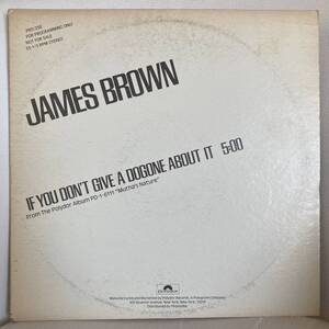 James Brown - If You Don't Give A Dogone About It 12 INCH